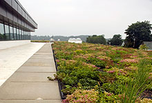 Sustainable Building Strategies Sustainable Building Strategies