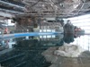 John G. Shedd Aquarium Renovations