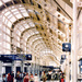 United Airlines Terminal 1