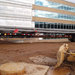 Corporate Campus Expansion 4