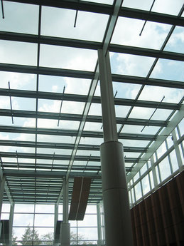 Ross School of Business 10