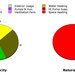 Commercial LEED Consulting 1