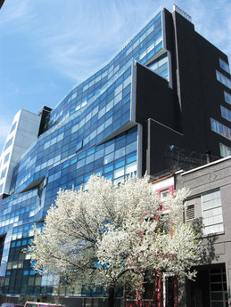 Chelsea Modern 6
