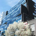 Chelsea Modern 6