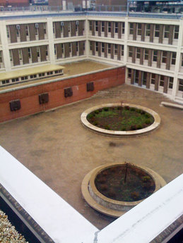 Urban Assembly High School for Green Careers 4