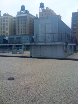 Urban Assembly High School for Green Careers 5