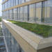 Minn Central Library 3