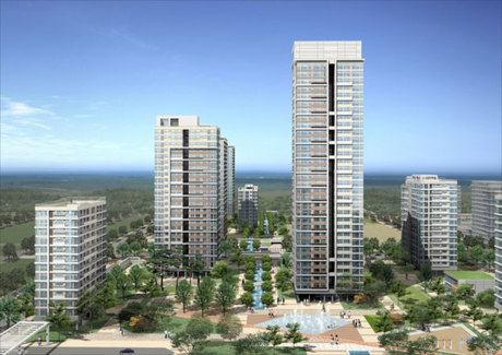 Xi Harbor View 2