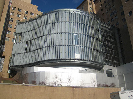 New York Presbyterian Hospital 16