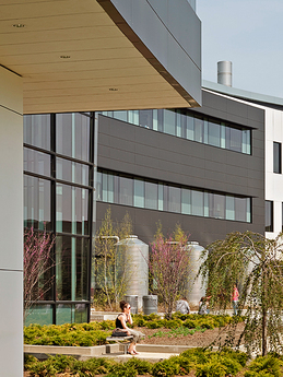 College of DuPage    