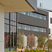 College of DuPage    