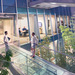 Stanford University School of Medicine