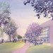 Sutter County Facility